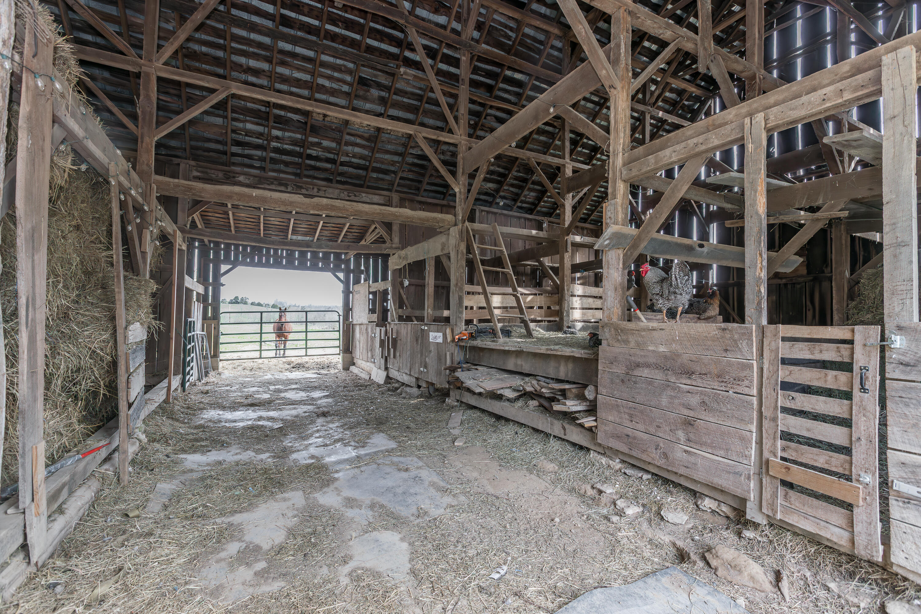 7800 Cornishville Road