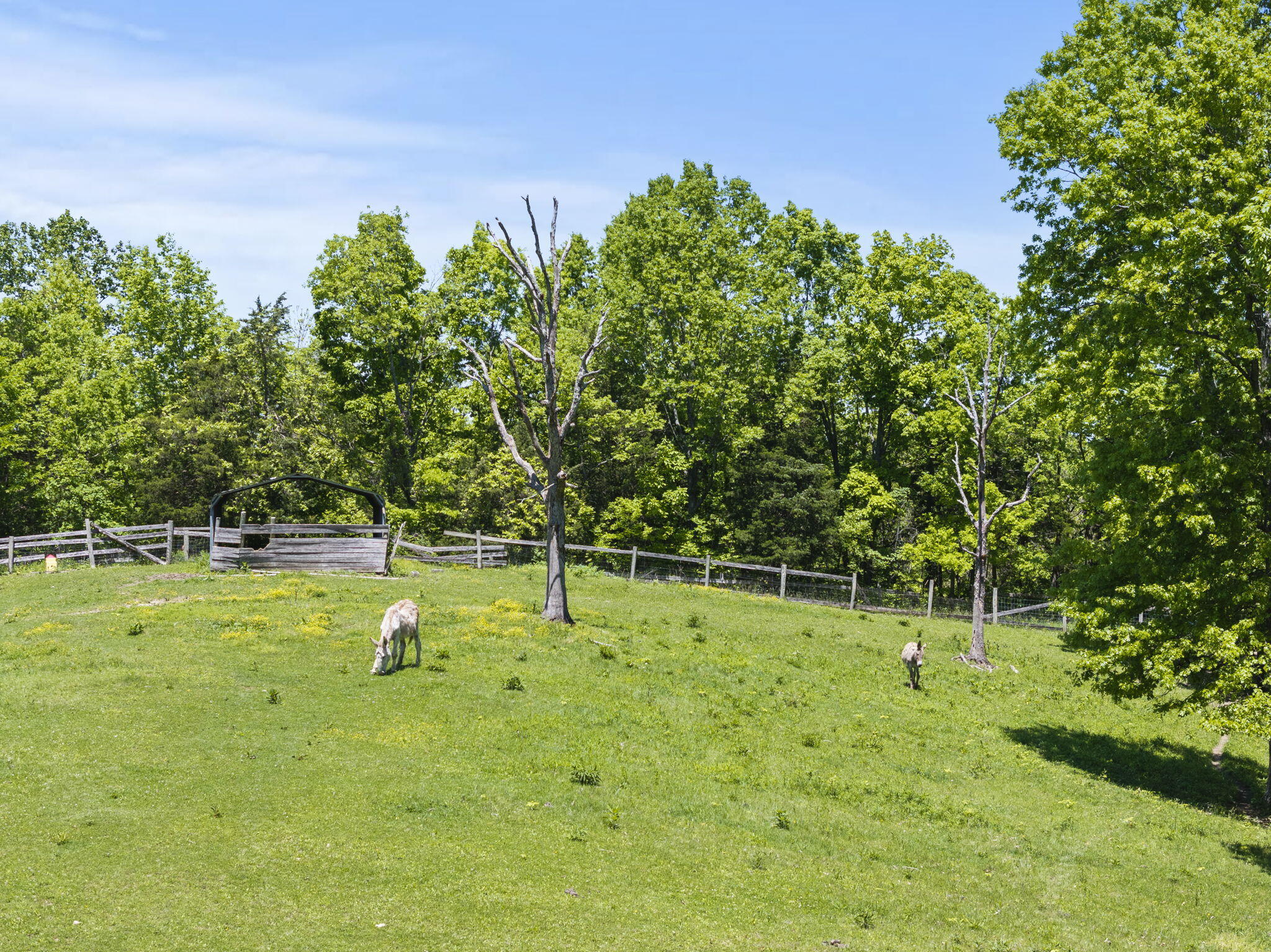 2634 Glensboro Road Road