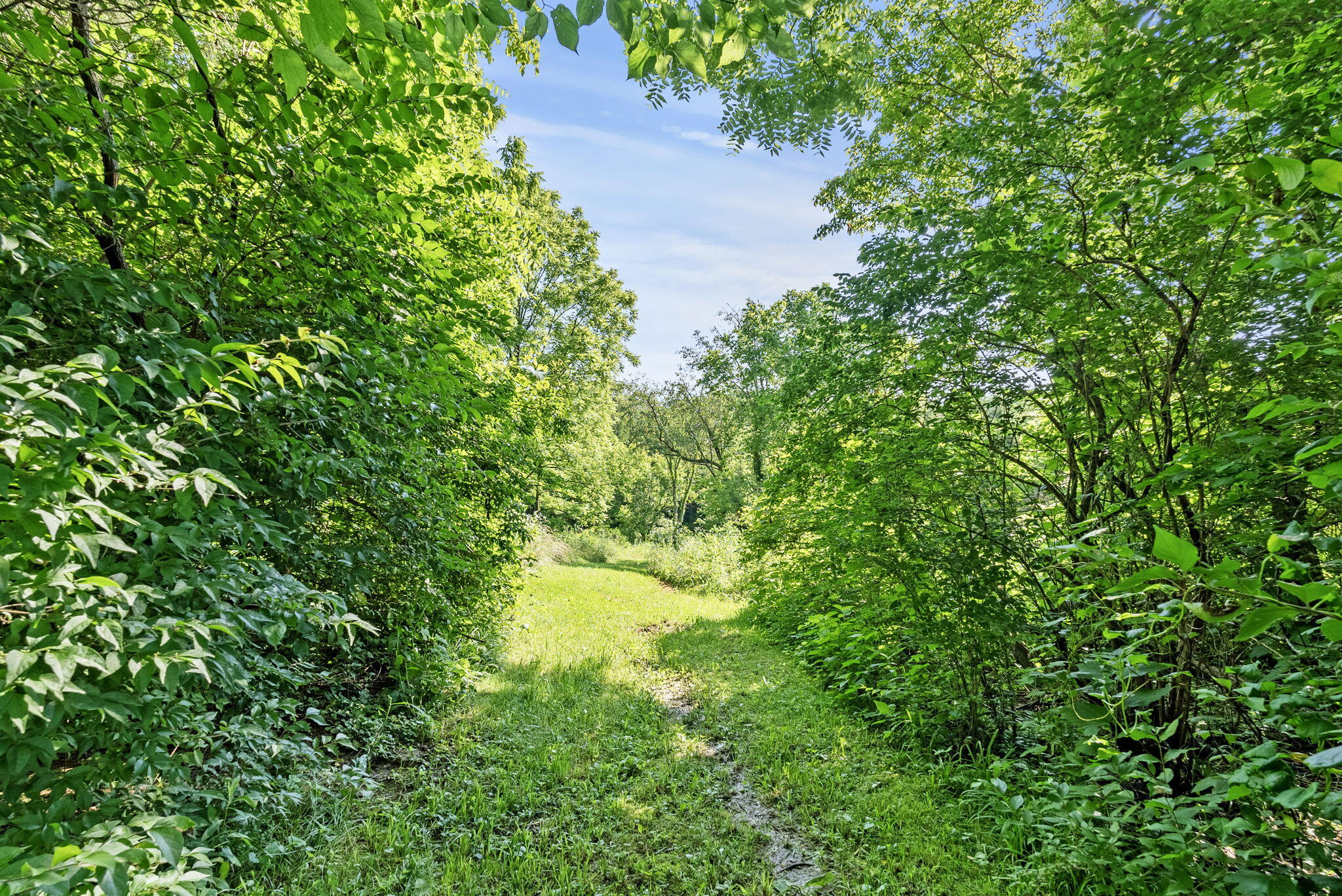 575 Wells Road