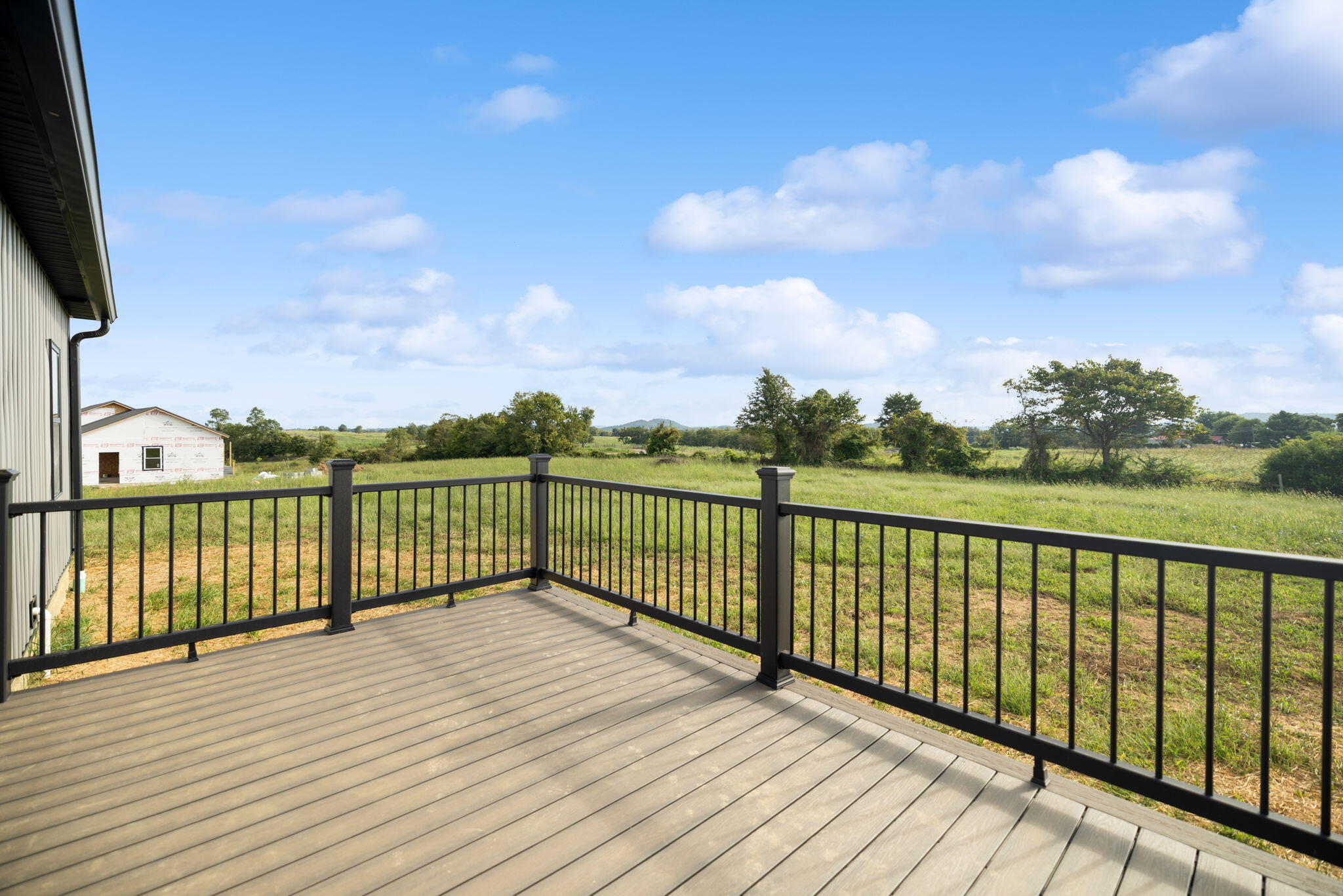 Gray deck with black railings overlooking a grassy field and trees.