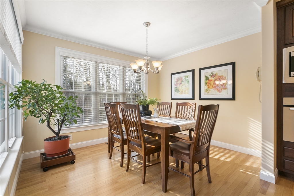50 Mount Vernon Street # 9