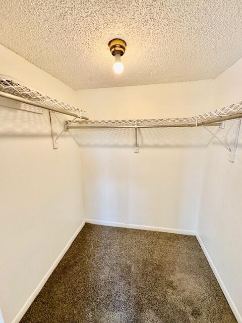 3300 Spanish Moss Terrace 302