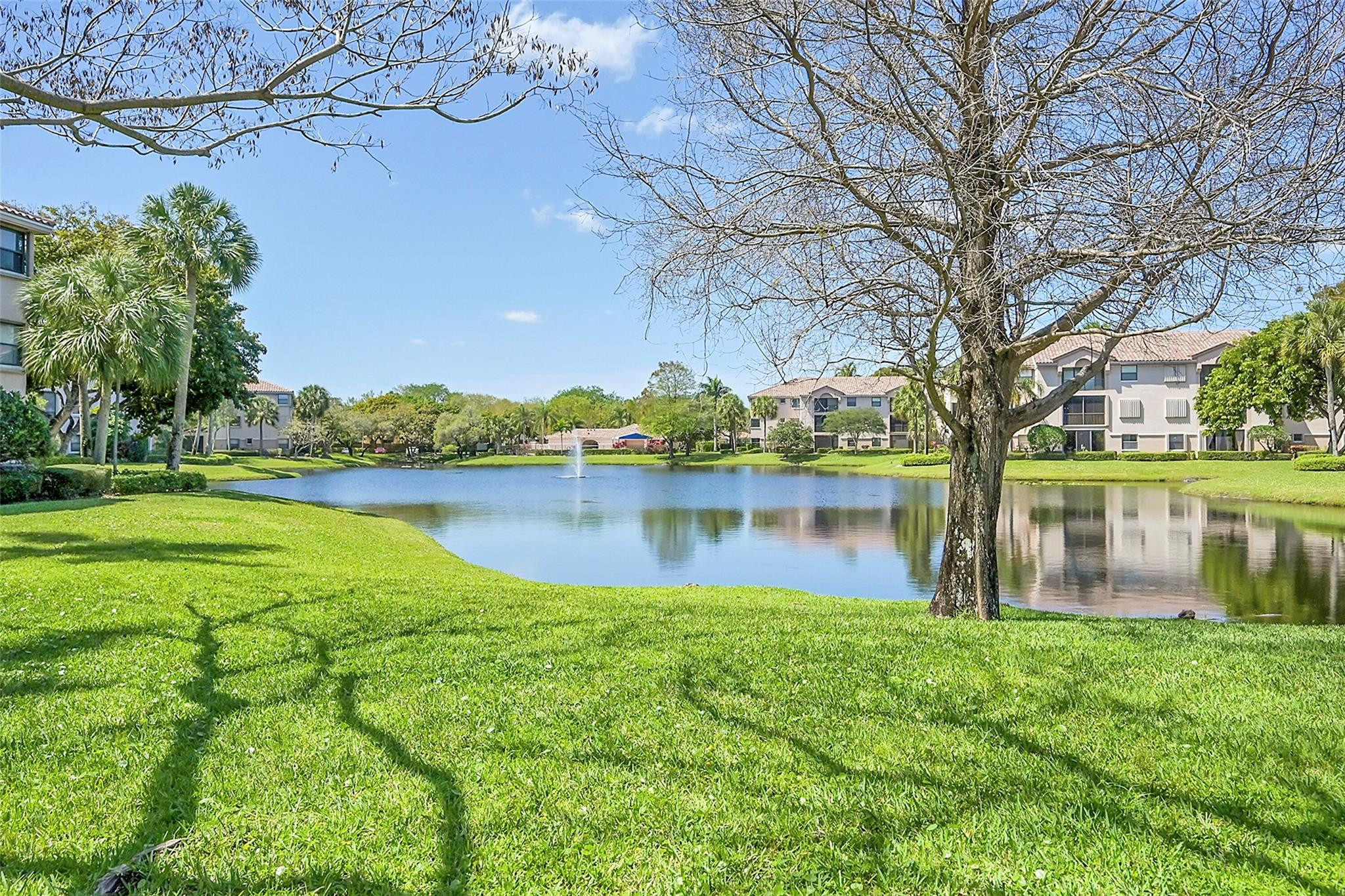 4101 Coral Tree Cir 312