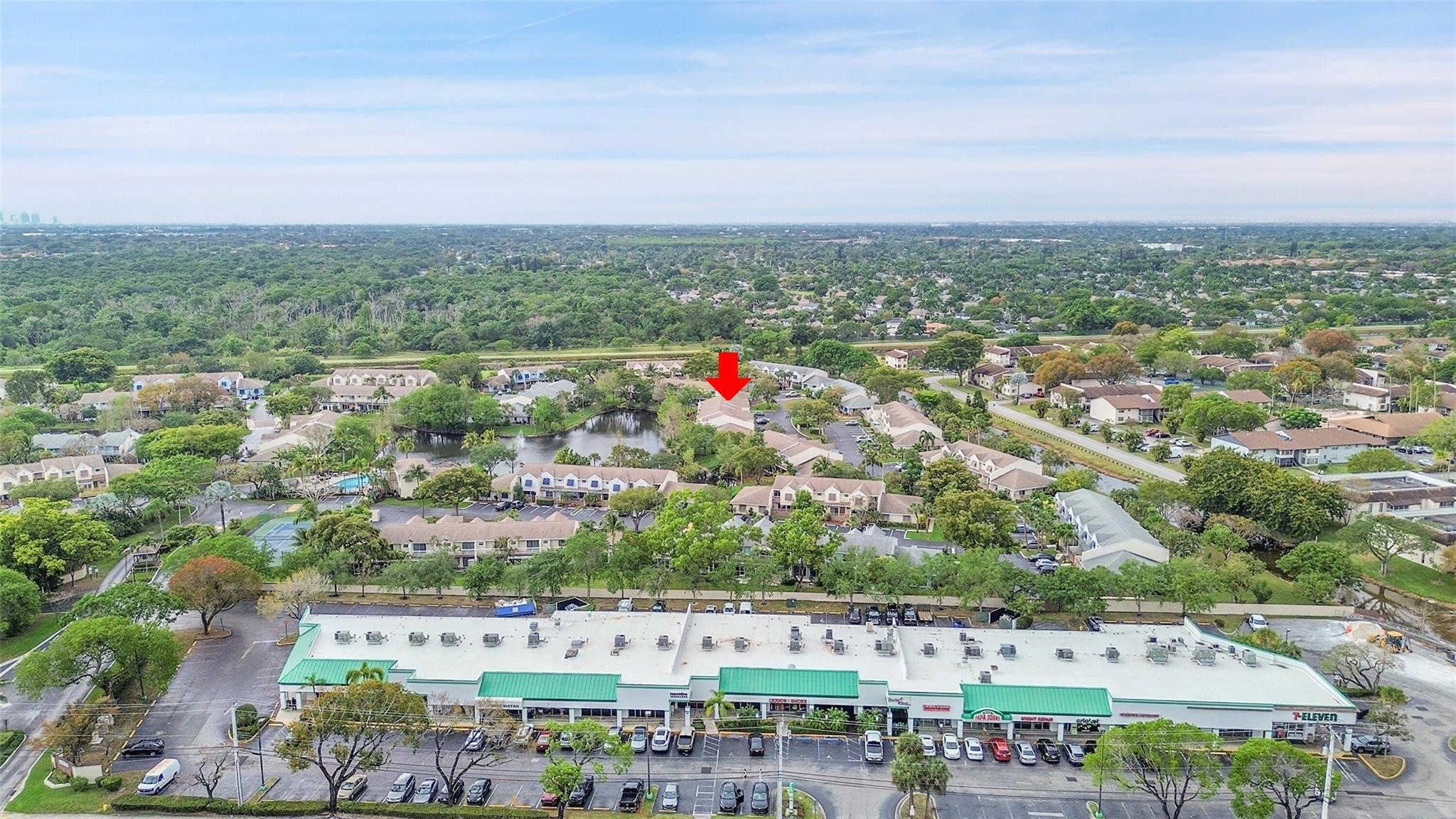 256 W Hemingway Cir