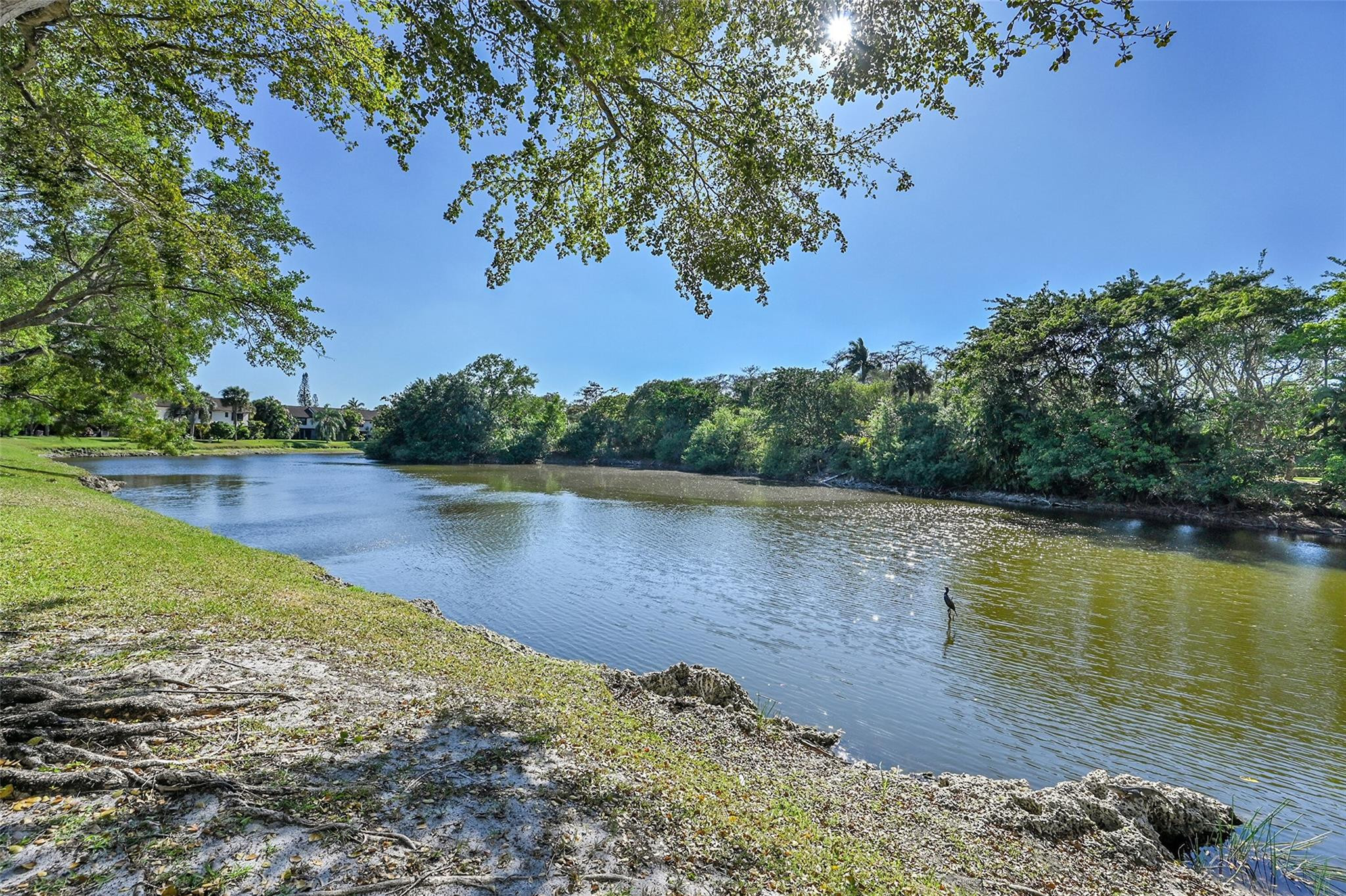 3860 N Carambola Cir 2957