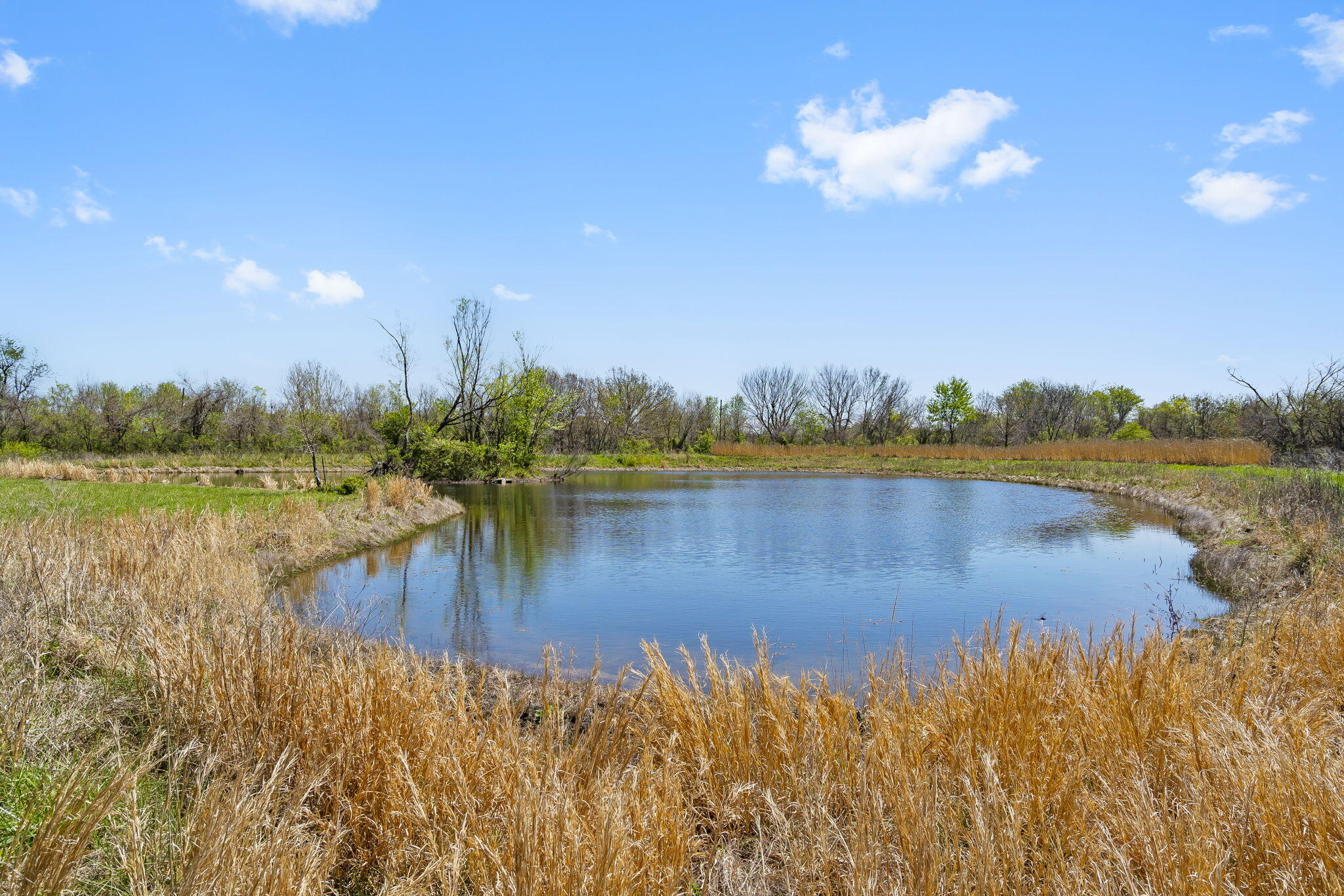 0000 County Lane 274