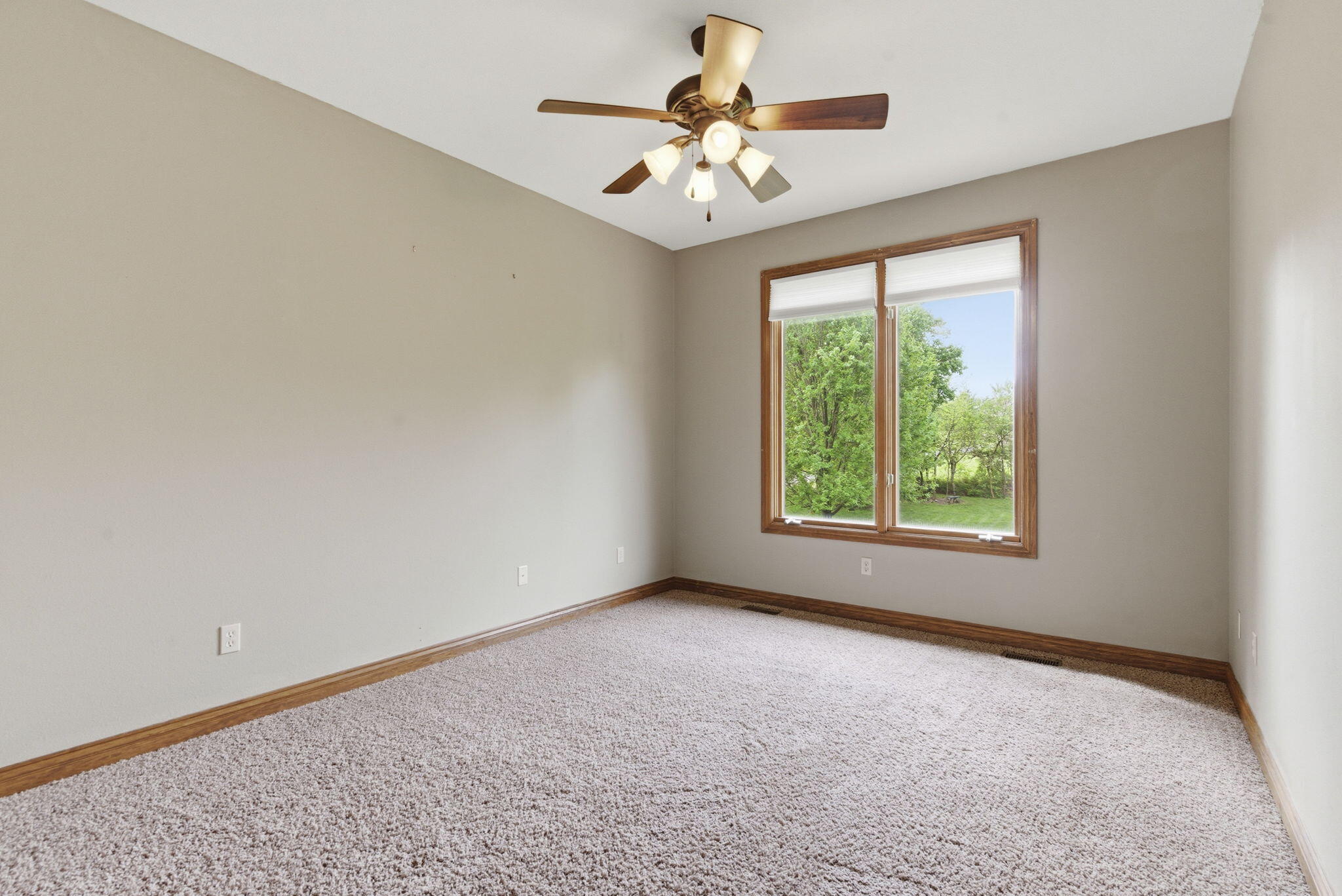 4202 Buttonwood Drive