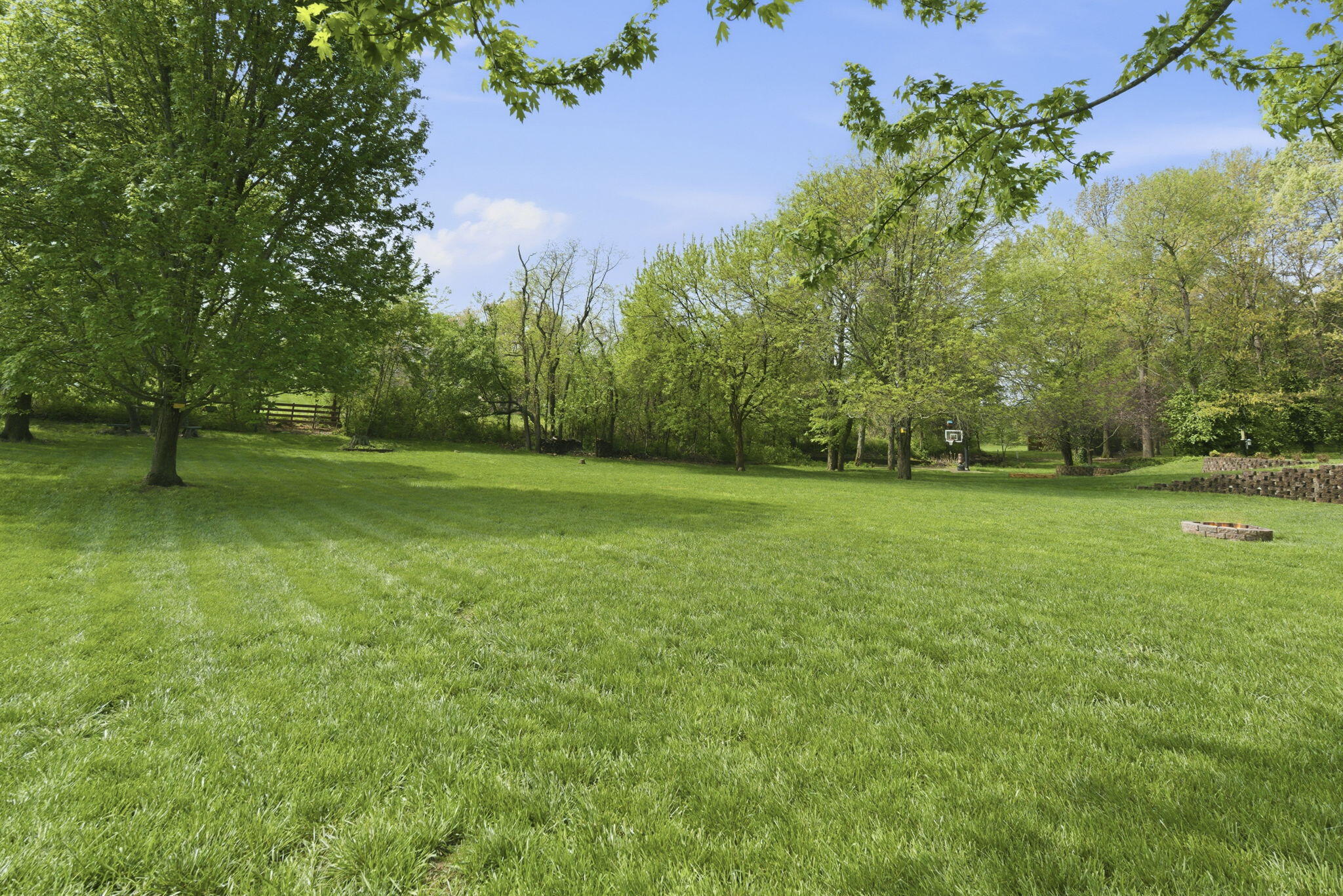 4202 Buttonwood Drive