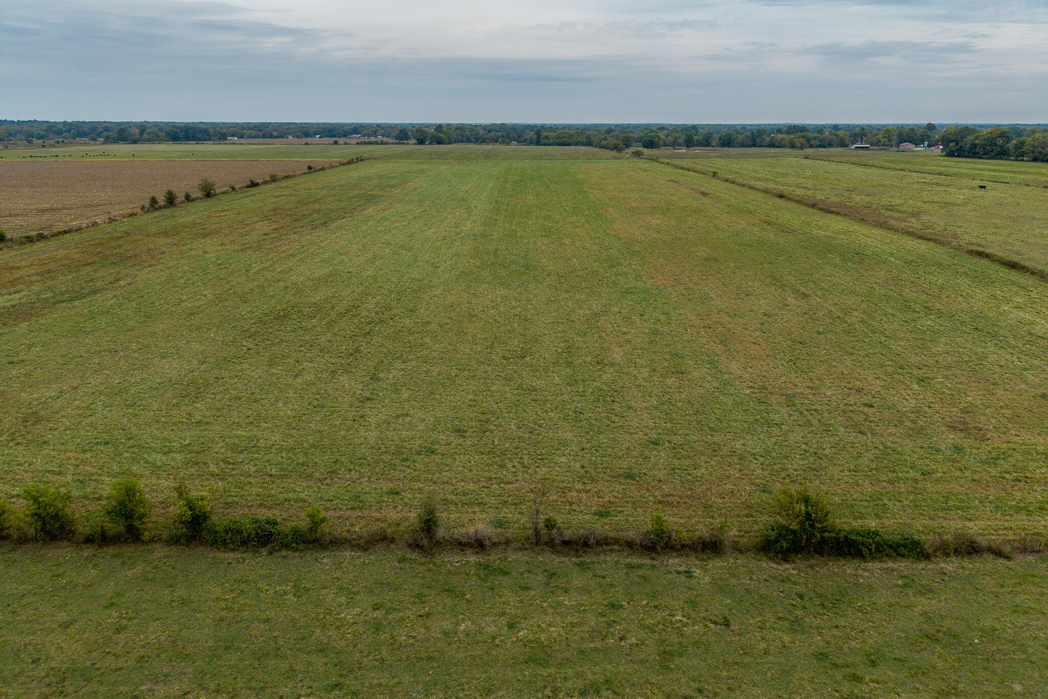 039 County Road 270