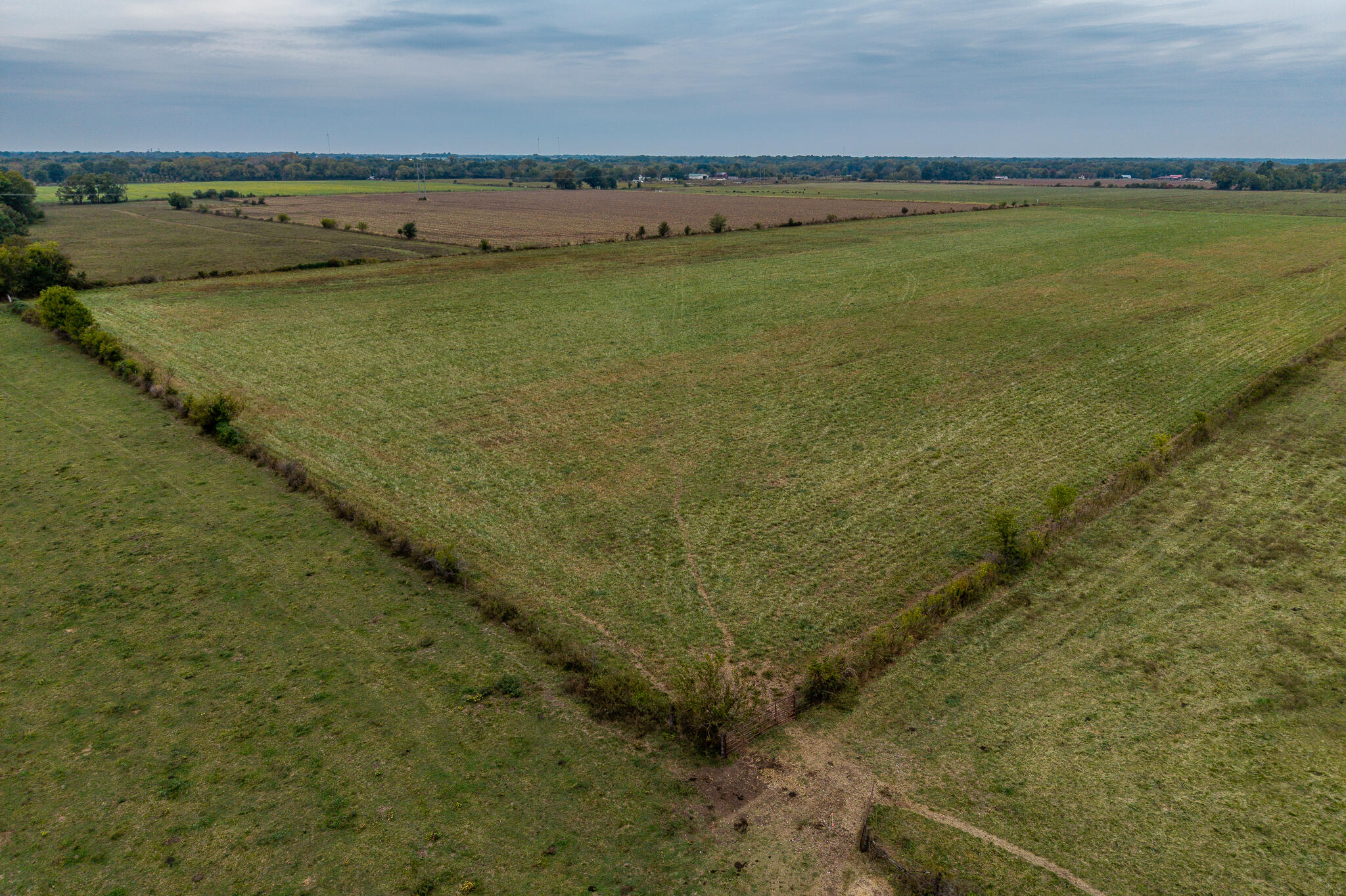 039 County Road 270