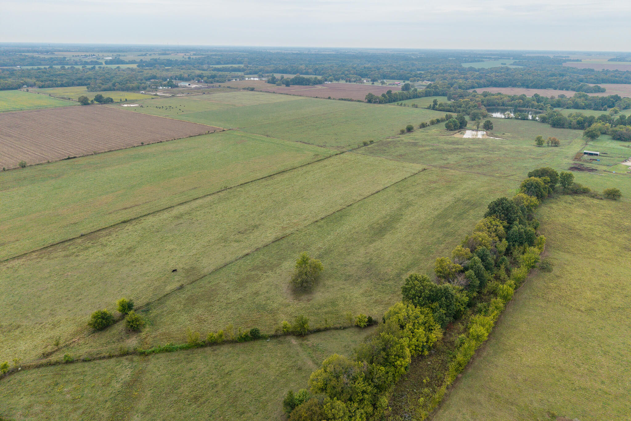 039 County Road 270