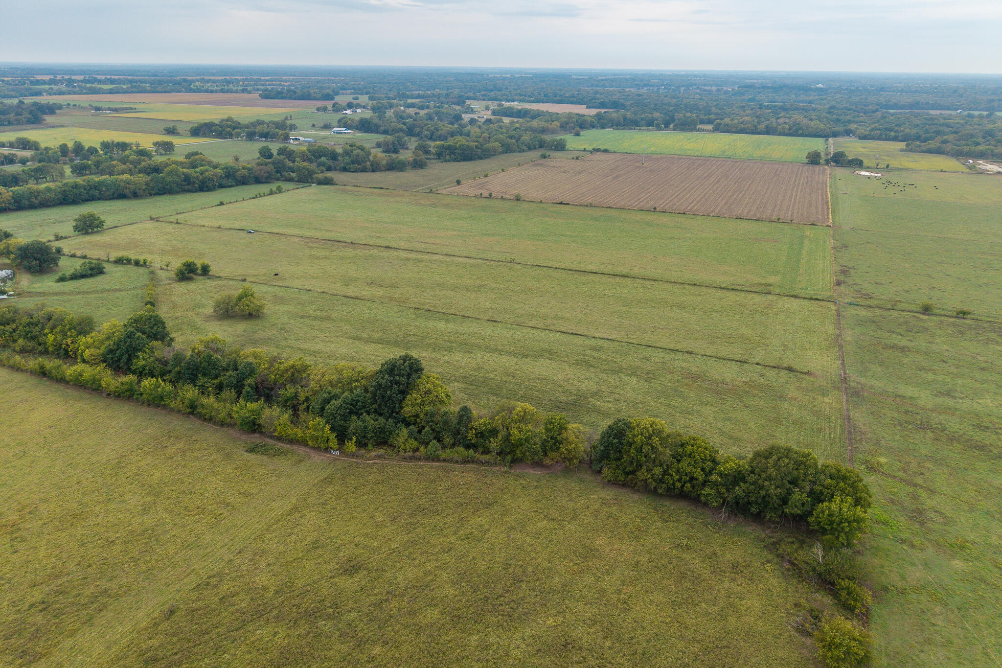039 County Road 270