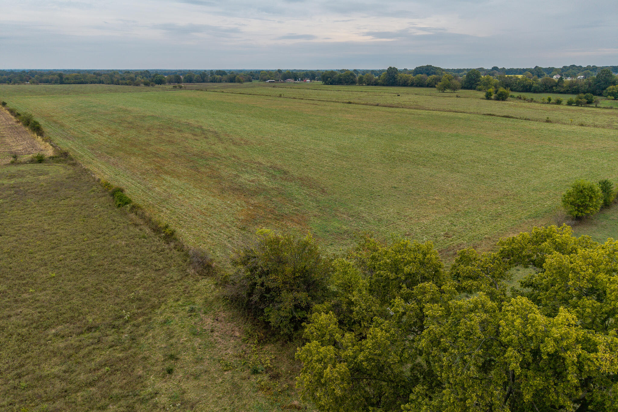039 County Road 270