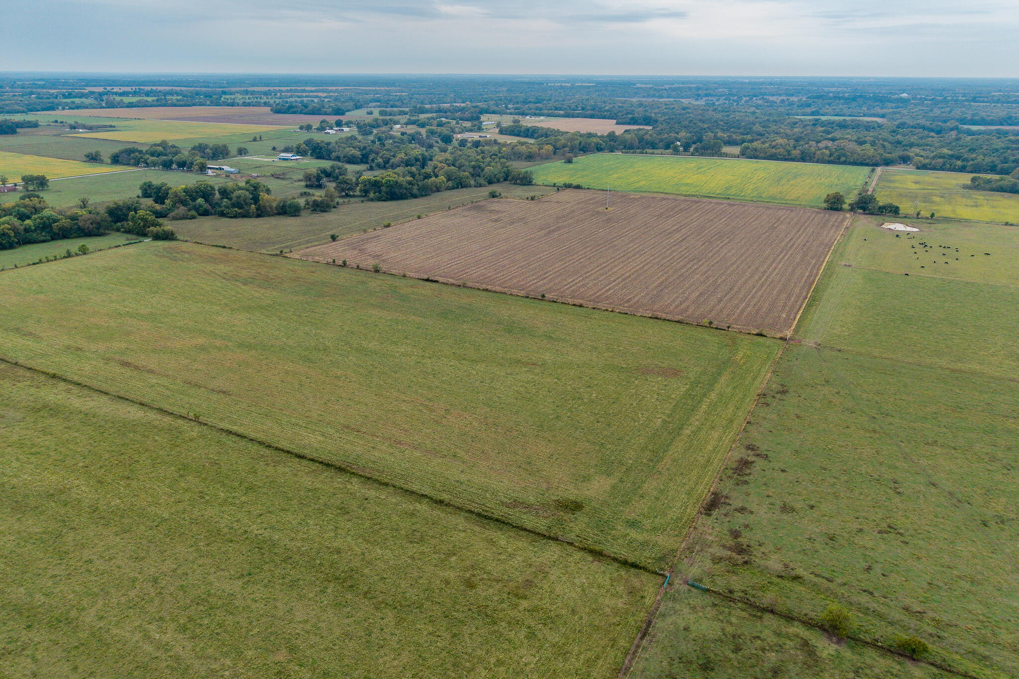 039 County Road 270