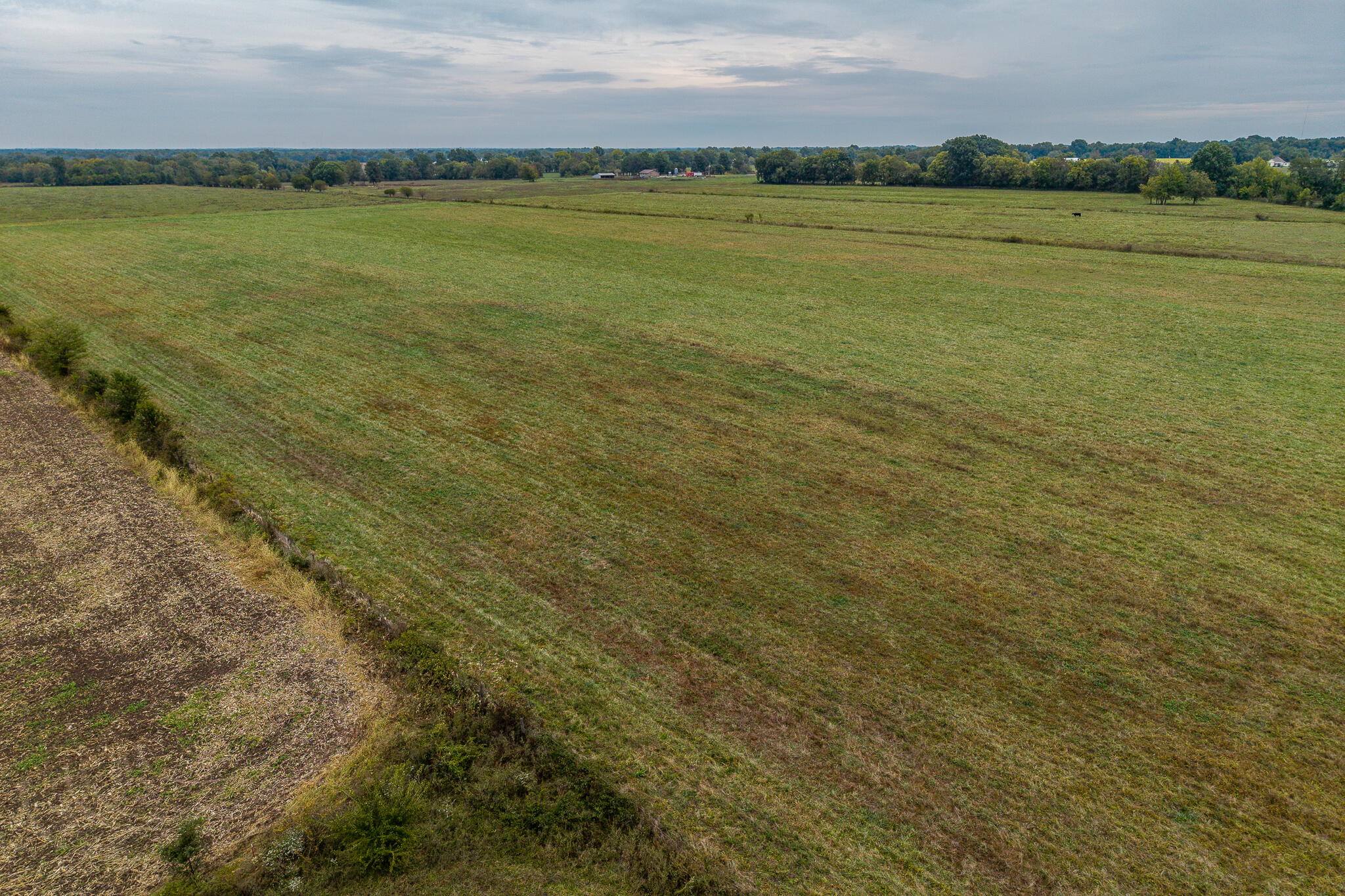 039 County Road 270