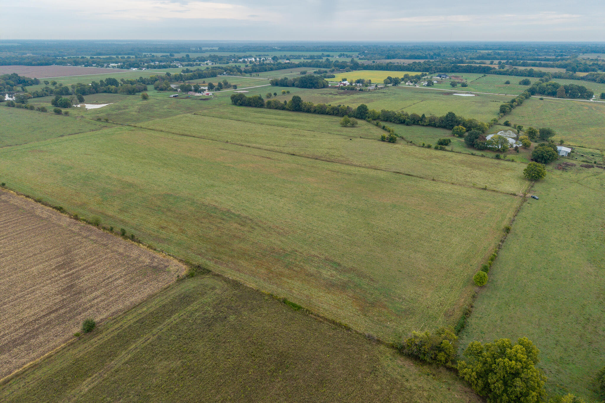 039 County Road 270