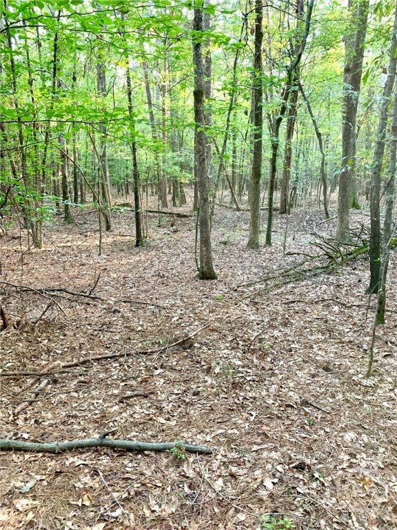 0 Archer Grove School Road Tract B