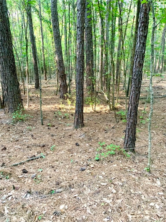 0 Archer Grove School Road Tract B