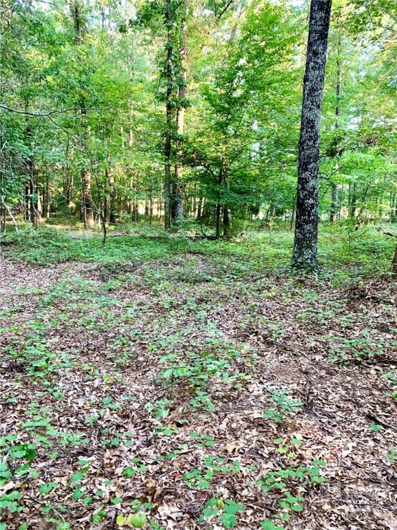 0 Archer Grove School Road Tract B