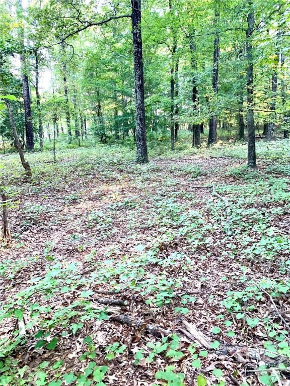 0 Archer Grove School Road Tract B