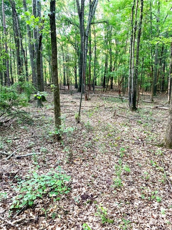 0 Archer Grove School Road Tract B