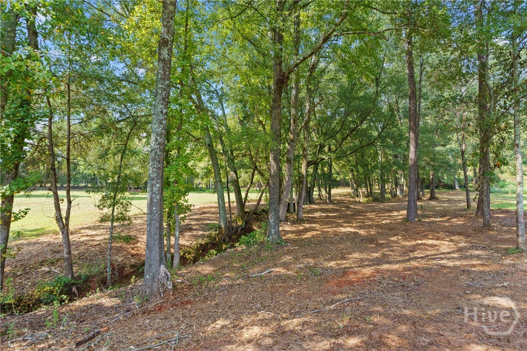 1299 McLeods Estates Drive