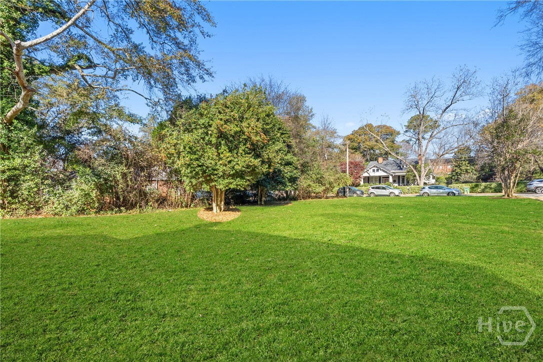 265 Springdale Street