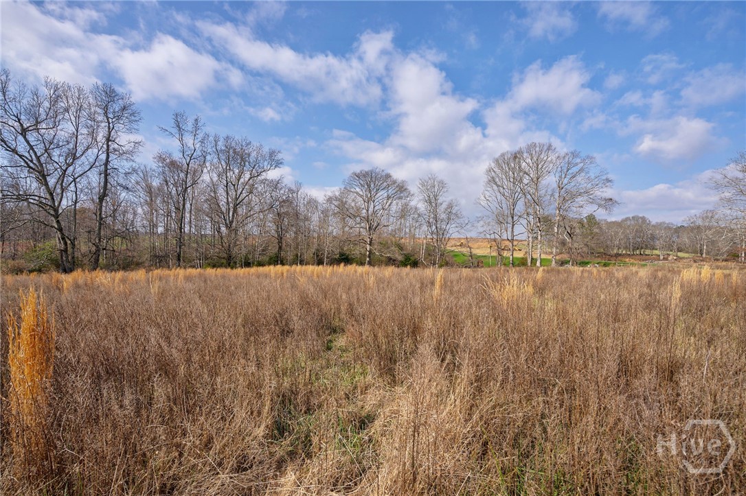 2528 Malcom Estates Drive 11