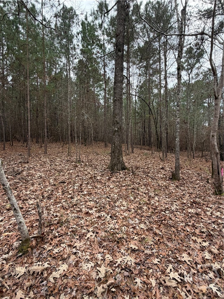 1700 Northwoods Drive