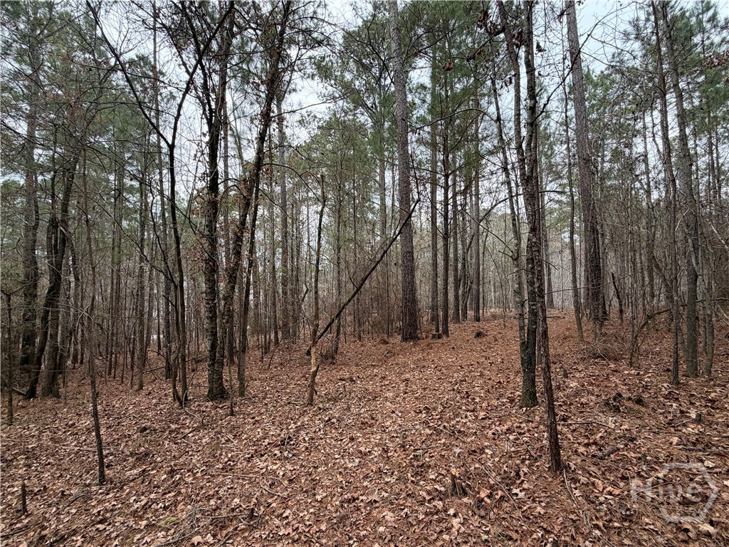 1700 Northwoods Drive