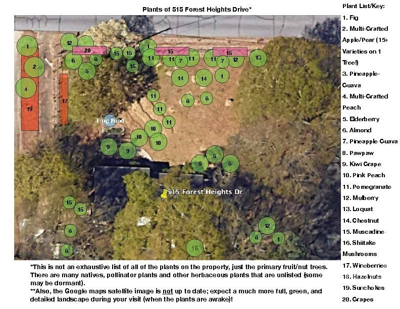 515 Forest Heights Drive