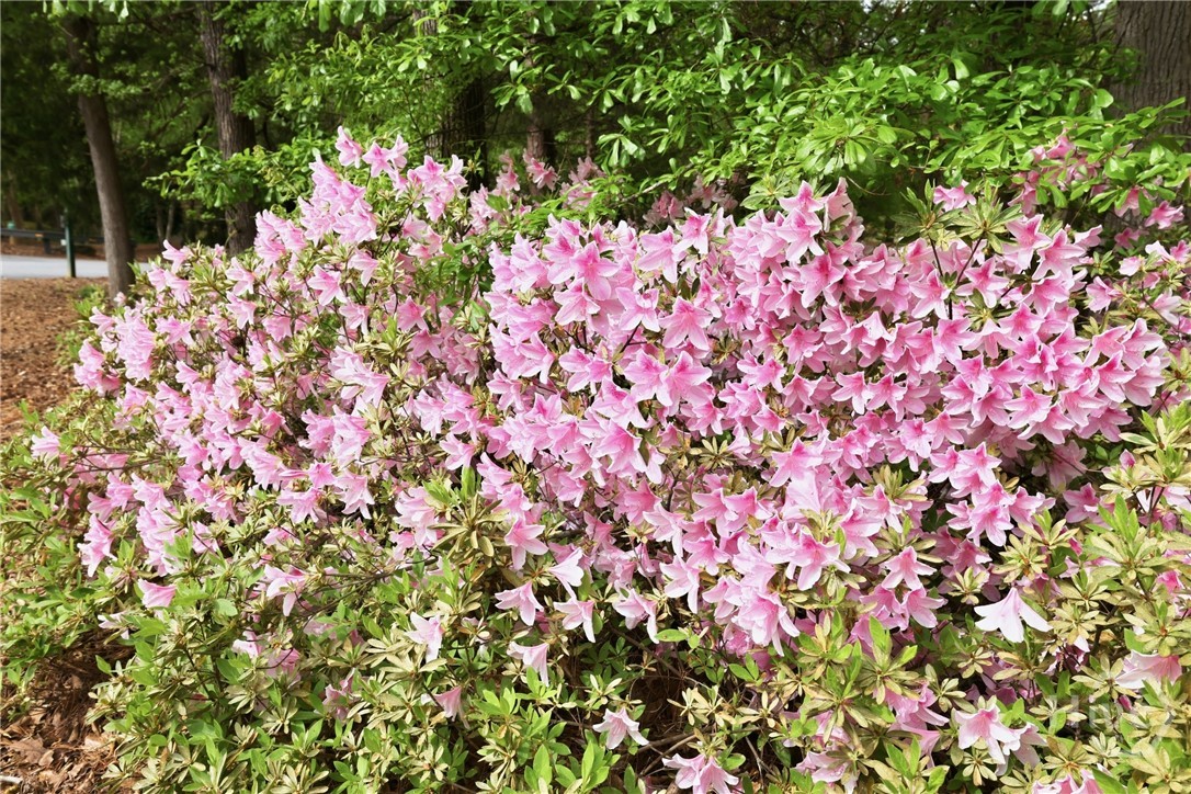 125 Wood Lake Drive 305