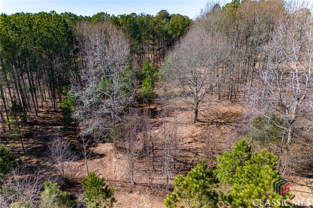 1521 Lane Creek Road