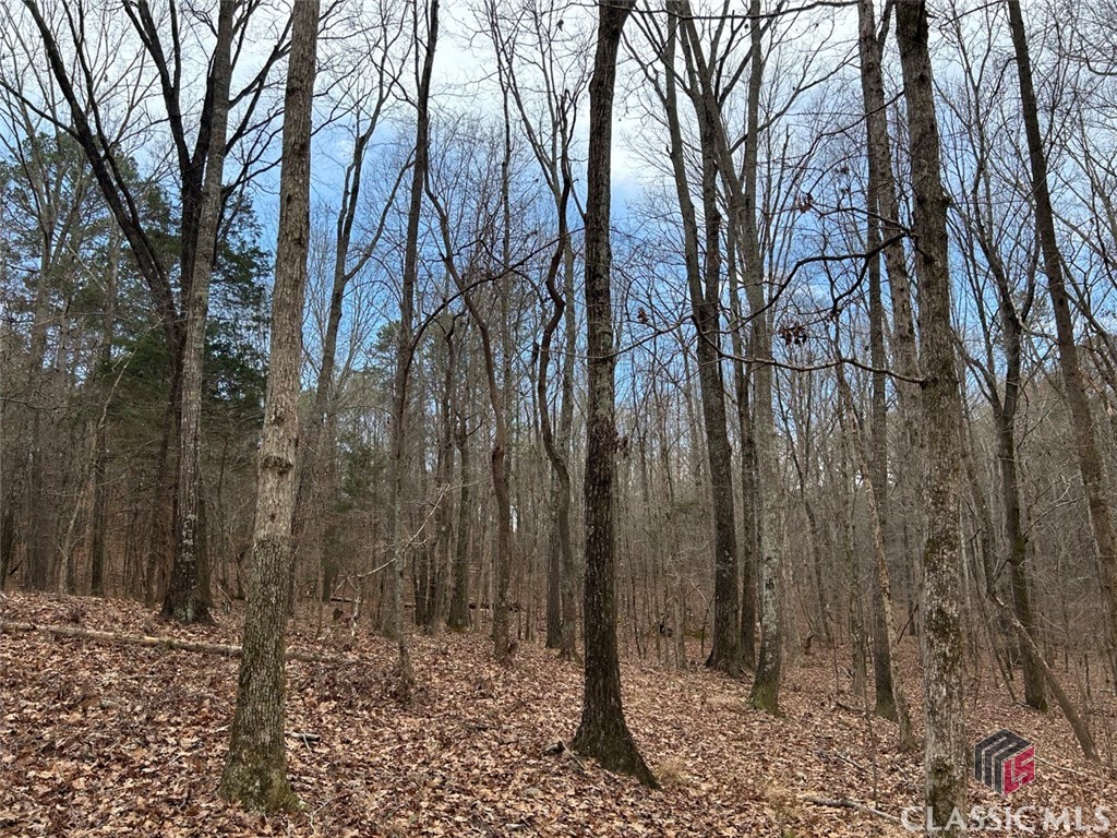 0 Tall Oaks Road