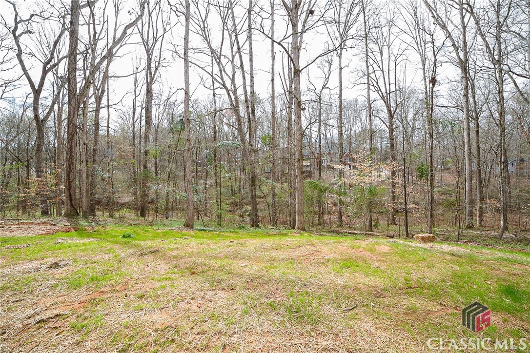 1041 Hollow Creek Way