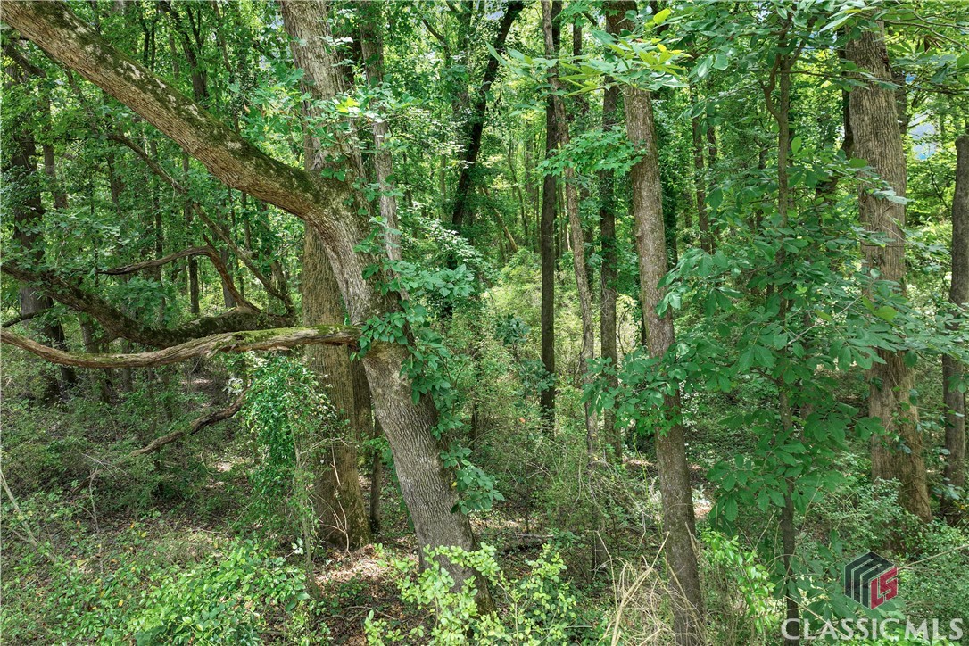 20 Hawk Creek Trail
