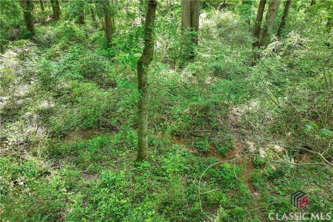 20 Hawk Creek Trail