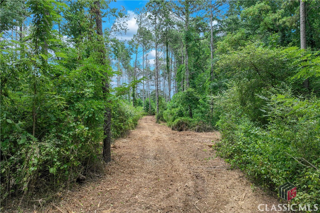 20 Hawk Creek Trail