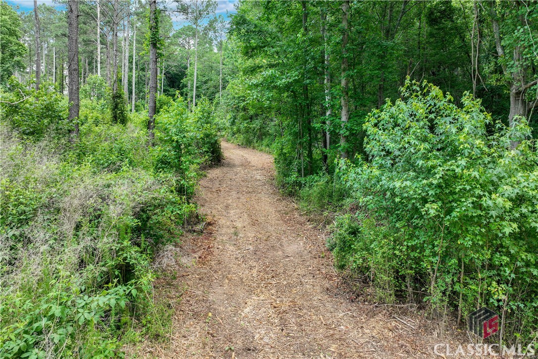 20 Hawk Creek Trail