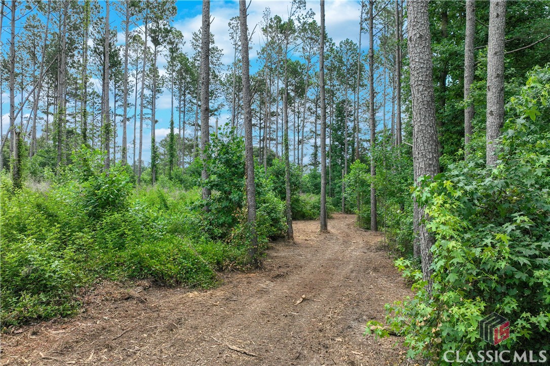20 Hawk Creek Trail