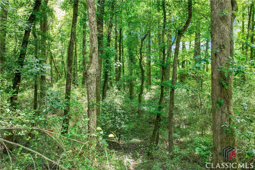 20 Hawk Creek Trail