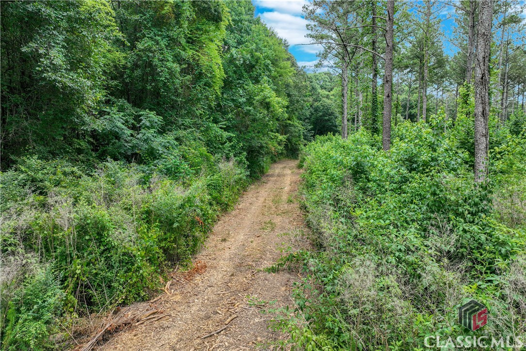 20 Hawk Creek Trail