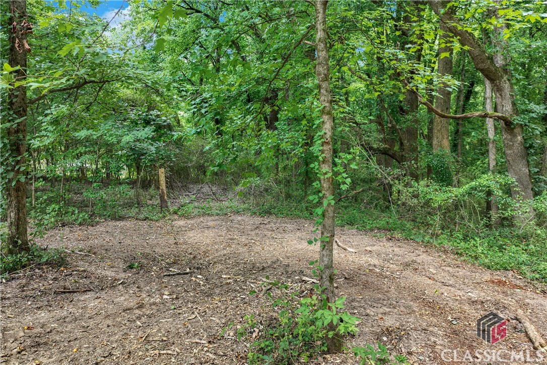 20 Hawk Creek Trail