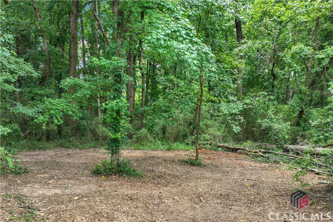 20 Hawk Creek Trail
