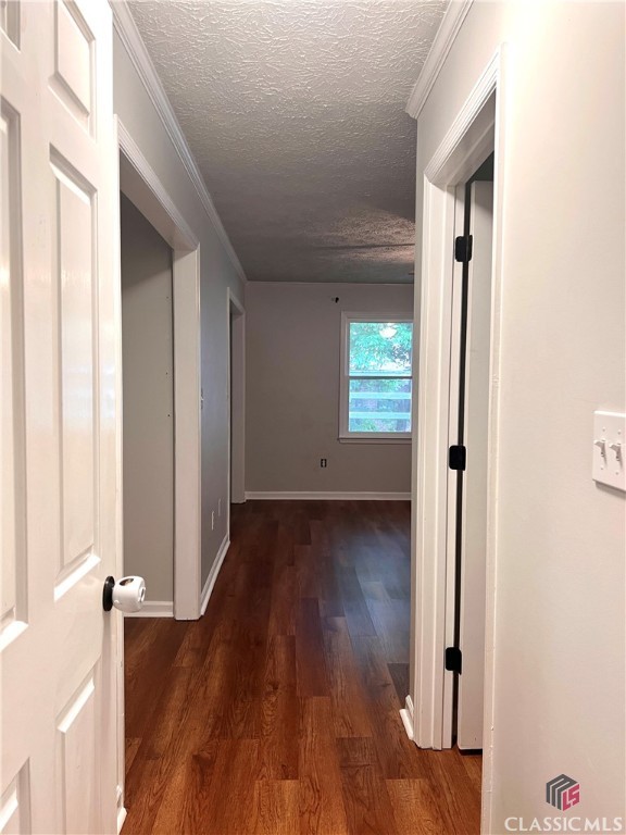 595 Macon Highway 12