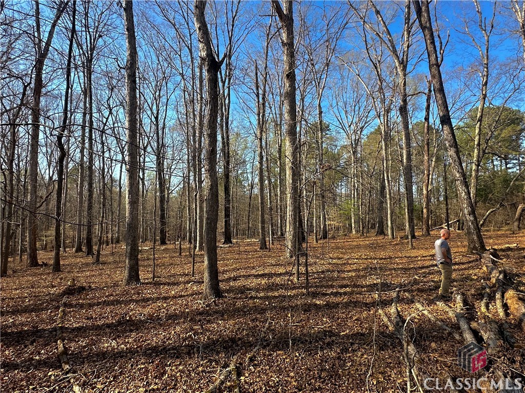 Lot 4 Tall Oaks Road