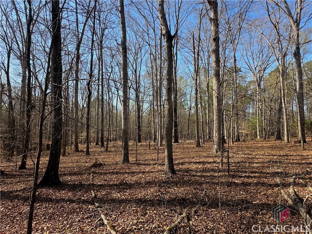 Lot 4 Tall Oaks Road