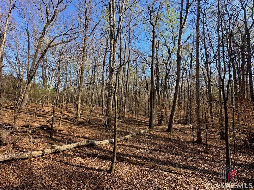 Lot 4 Tall Oaks Road