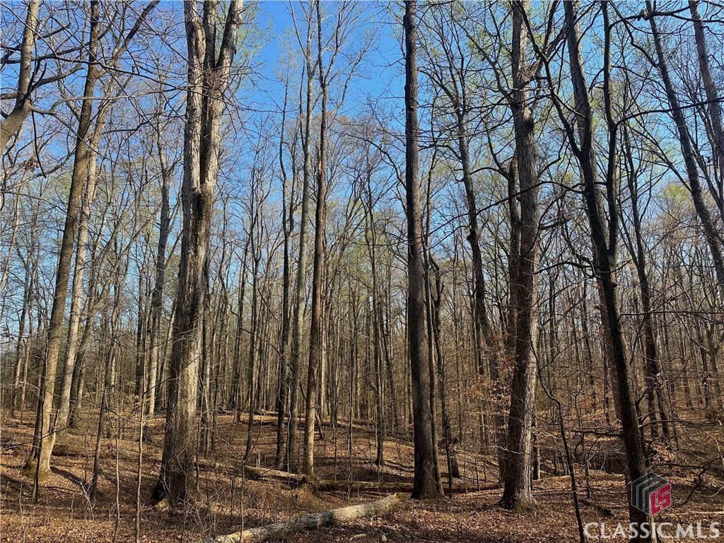 Lot 4 Tall Oaks Road