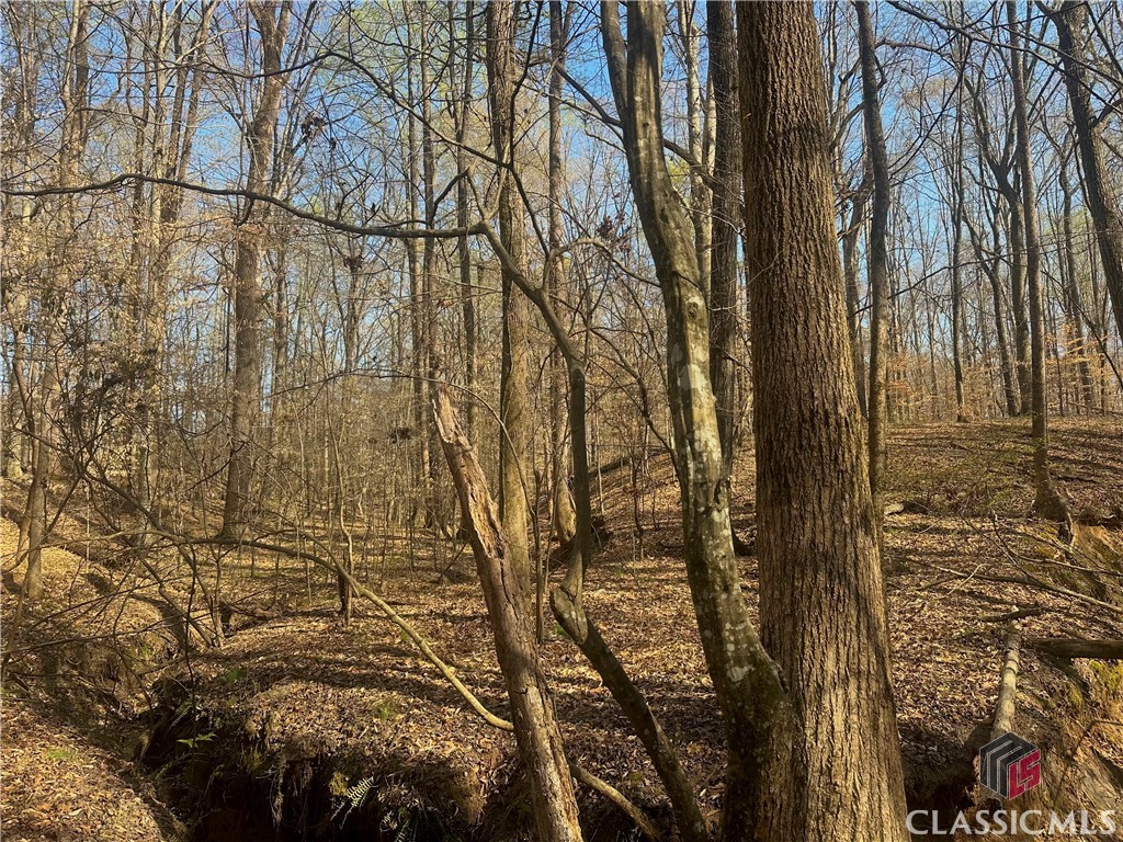 Lot 4 Tall Oaks Road